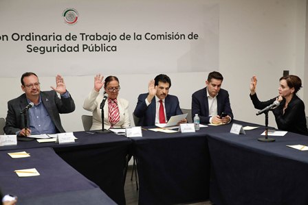 Comisión de Seguridad Pública