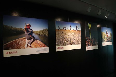 “Los sumideros de carbono azul”