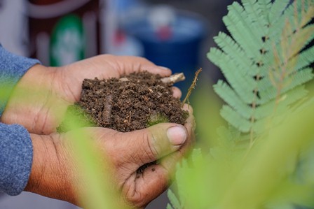 Entrega municipio de Oaxaca de Juárez a la ciudadanía bultos de 50, 20 y 5 kilogramos de abono orgánico
