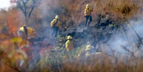 Combate Coesfo cuatro incendios forestales en Oaxaca