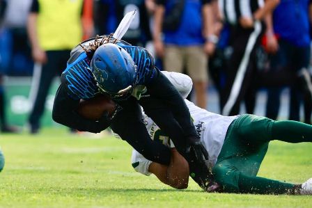 Raptors del Valle de México
