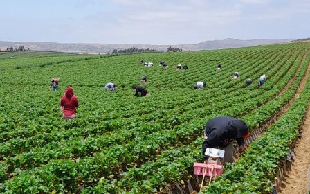 Secretaría del Trabajo de Oaxaca