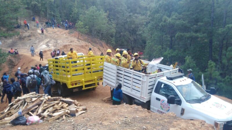 Oaxaca segundo lugar nacional en incendios forestales, con 14 mil hectáreas