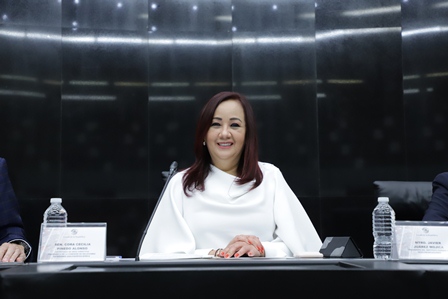 Garantizar la atención de la salud mental de menores de edad, pide Pinedo Alonso