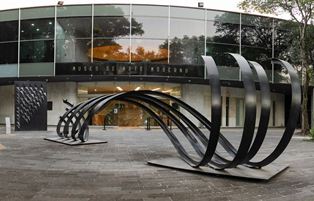 Impartirá Museo de Arte Moderno curso “Arte para el autismo”