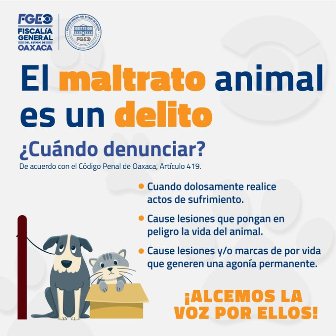 Por casos de Crueldad Animal registrados en el Istmo, inicia Fiscalía de Oaxaca carpetas de investigación