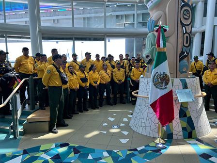 Comisión Nacional Forestal