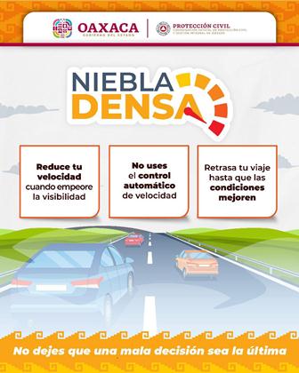 Precauciones por niebla densa