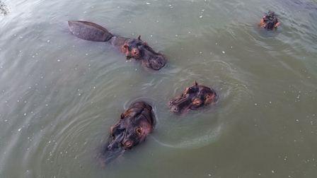 Ernesto Zazueta Zazueta