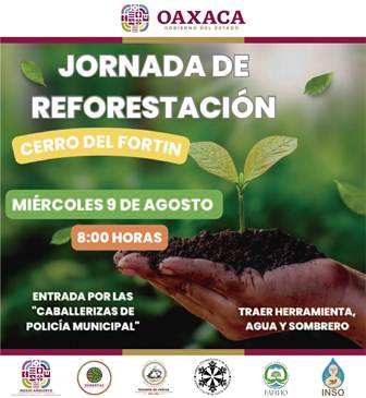 Jornada de reforestación