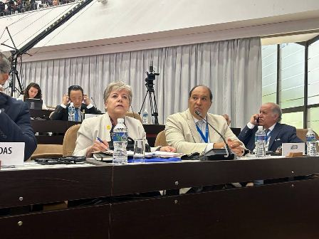 Alicia Bárcena Ibarra