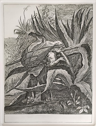 Rinde el Salón de la Plástica Mexicana tributo a Carlos Alvarado Lang