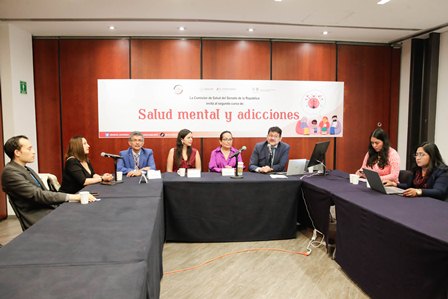 “Segundo curso de salud mental y adicciones”