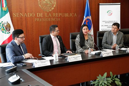 Ariel J. Alvarado Urbina