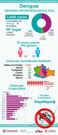 Contabilizan mil 400 casos de dengue; 75 casos nuevos en la semana -48 mujeres y 27 hombres-