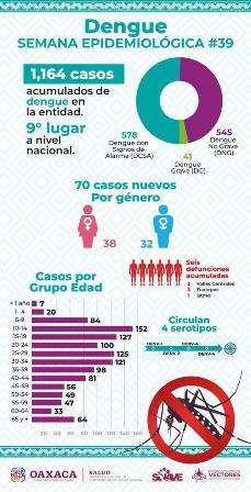 Corte semanal de dengue