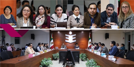 Consejo General del IEEPCO