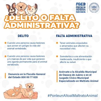 Delito o falta administrativa