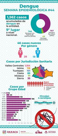 Oaxaca, noveno lugar en casos de dengue; suman mil 562: SSO