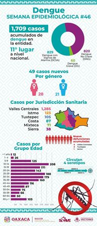 Reporte de casos de dengue