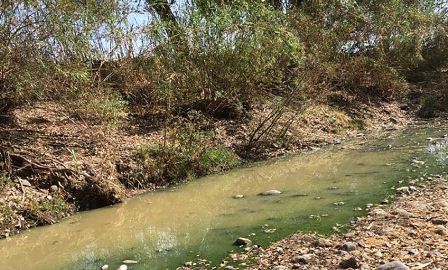 Emite CNDH Recomendación 212/2023