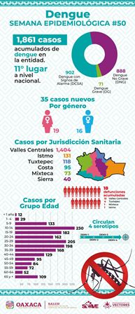 Llaman a limpiar patios y a no descuidar medidas preventivas contra dengue por frío