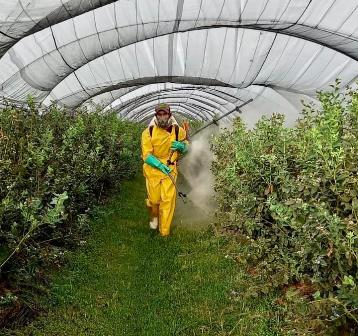 Luis Eduardo González Cepeda