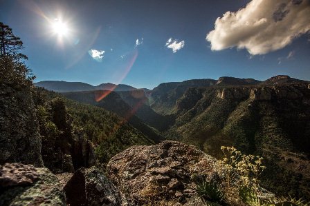 Solicitan en el Congreso informe sobre aprovechamiento de recursos en Áreas Naturales Protegidas