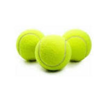 Festejará México centenario en la Copa Davis con posibilidades de ganar