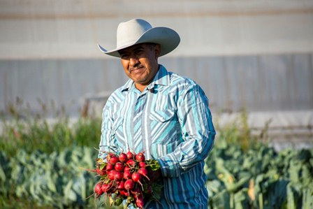 Horacio Sosa Villavicencio