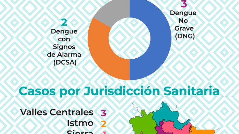 En Oaxaca seis casos de dengue y cero defunciones, confirma SSO