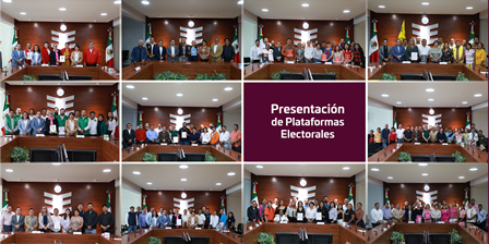 Plataformas Electorales