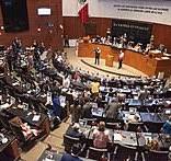 Persona adulta mayor