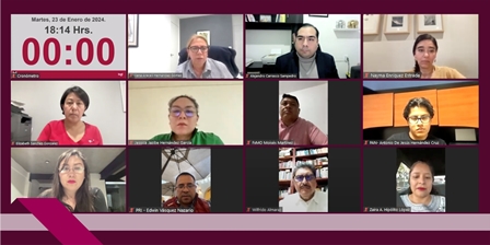 Instituto Estatal Electoral