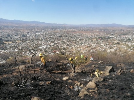Sofocan incendio de pastizales