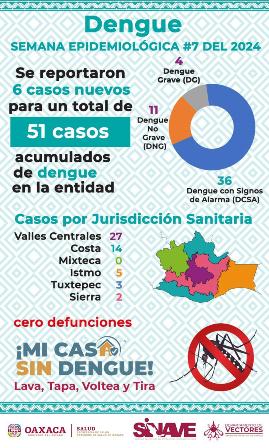 Casos de dengue