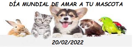 Amor por las mascotas