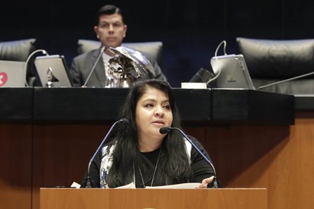 Piden en el Senado que cuidados paliativos y tratamientos contra el dolor estén al alcance de todas las personas