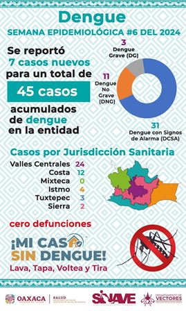 Reporte de casos de dengue