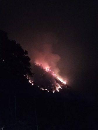 11 incendios forestales activos