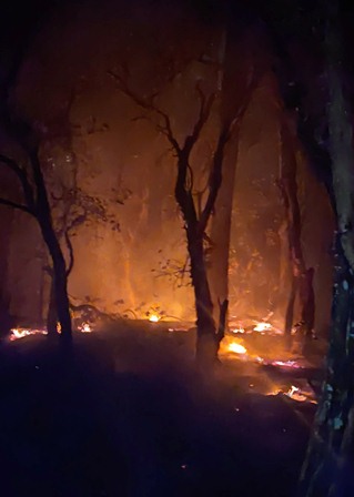 Atiende Coesfo incendio forestal en localidades de San Martín Peras, Oaxaca
