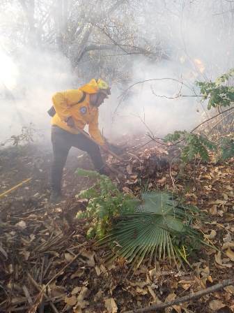 Comisión Estatal Forestal