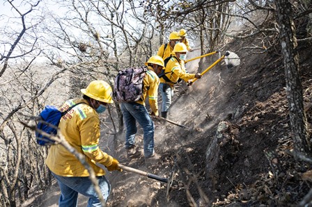 Liquidado incendio forestal en San Dionisio Ocotepec, Oaxaca: Coesfo