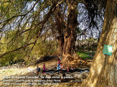 Regresa el concurso de fotografía Centinelas del Tiempo con 270 mil pesos en premios