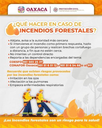 Incendio forestal