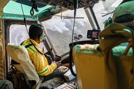 Incendios forestales