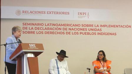 Alicia Bárcena Ibarra