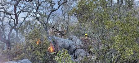 Controlado al 100% incendio forestal de Tepelmeme Villa de Morelos