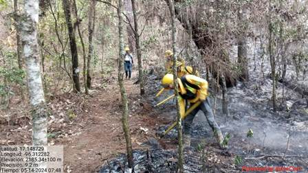 Comisión Estatal Forestal