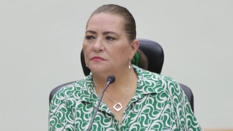 Guadalupe Taddei Zavala